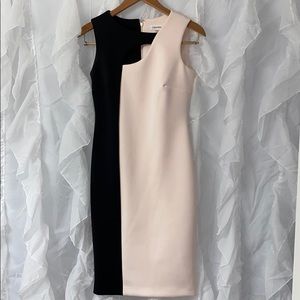 Calvin Klein light pink/black knee length dress